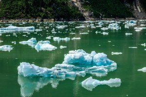 Many, many icebergs to avoid