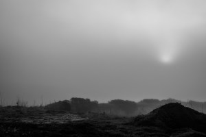 Sunrise (?) in the fog