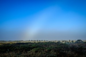 Fogbow