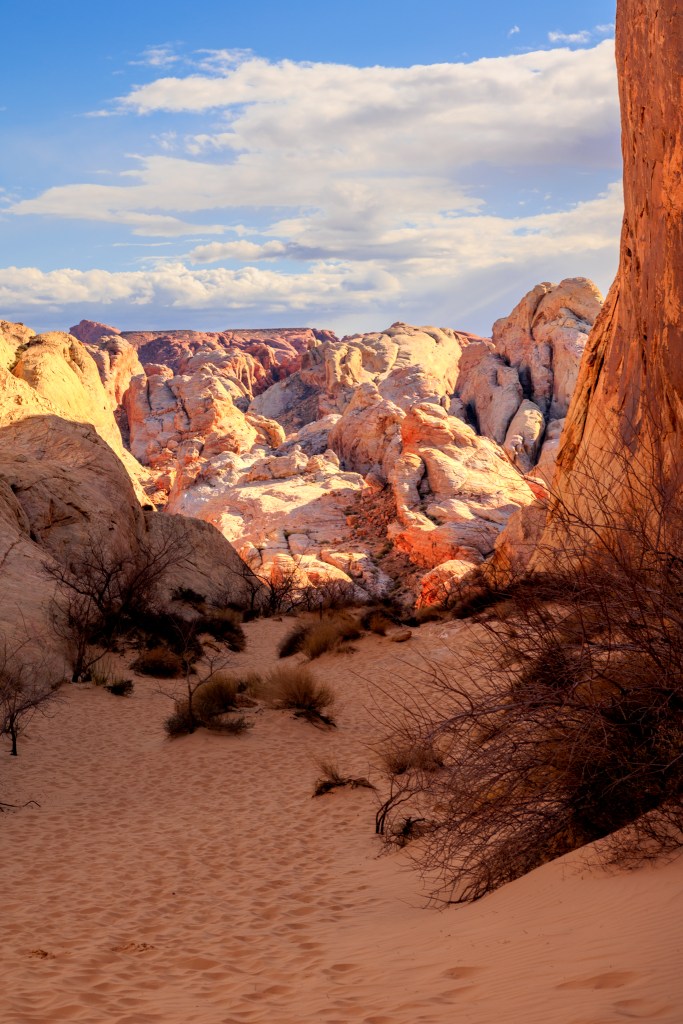 Top of White Domes Loop trail
