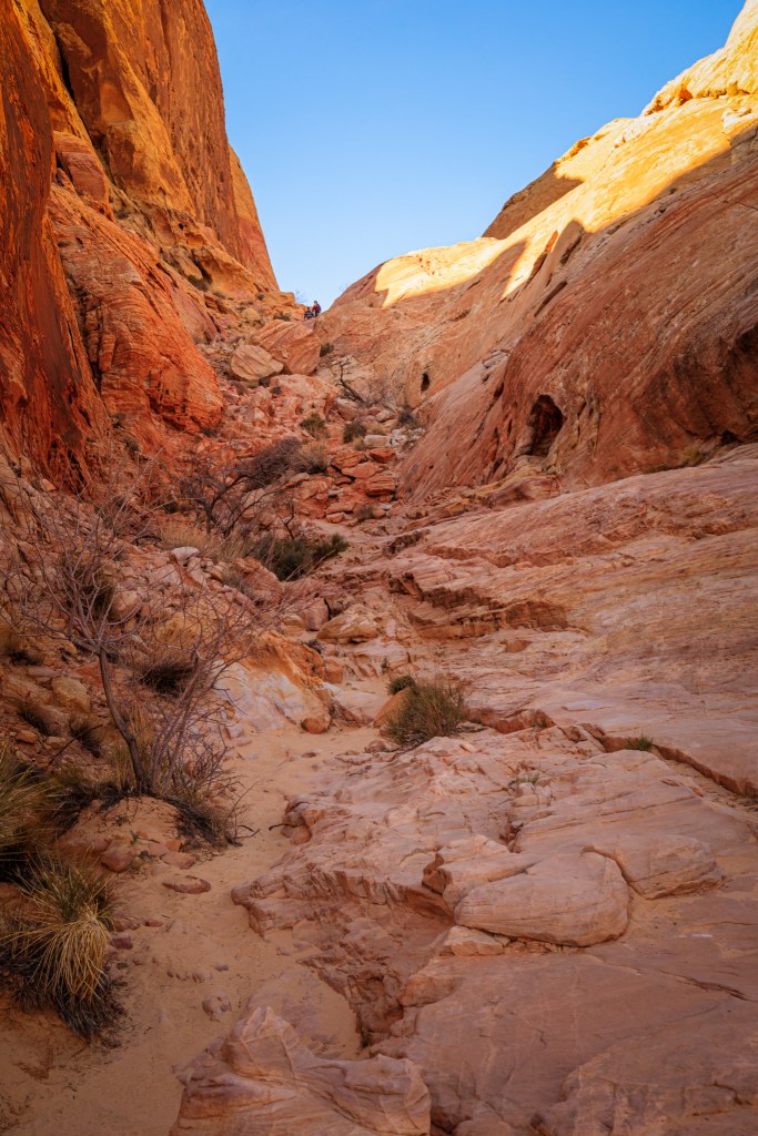 Another view of White Domes Loop trail from near the bottom